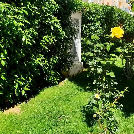 アパート Parque Mar ラ・マタ